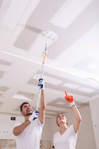 Best Ceiling Drywall Installation  in Laurel, MT